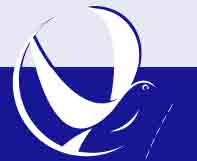 logo world-peace-academy